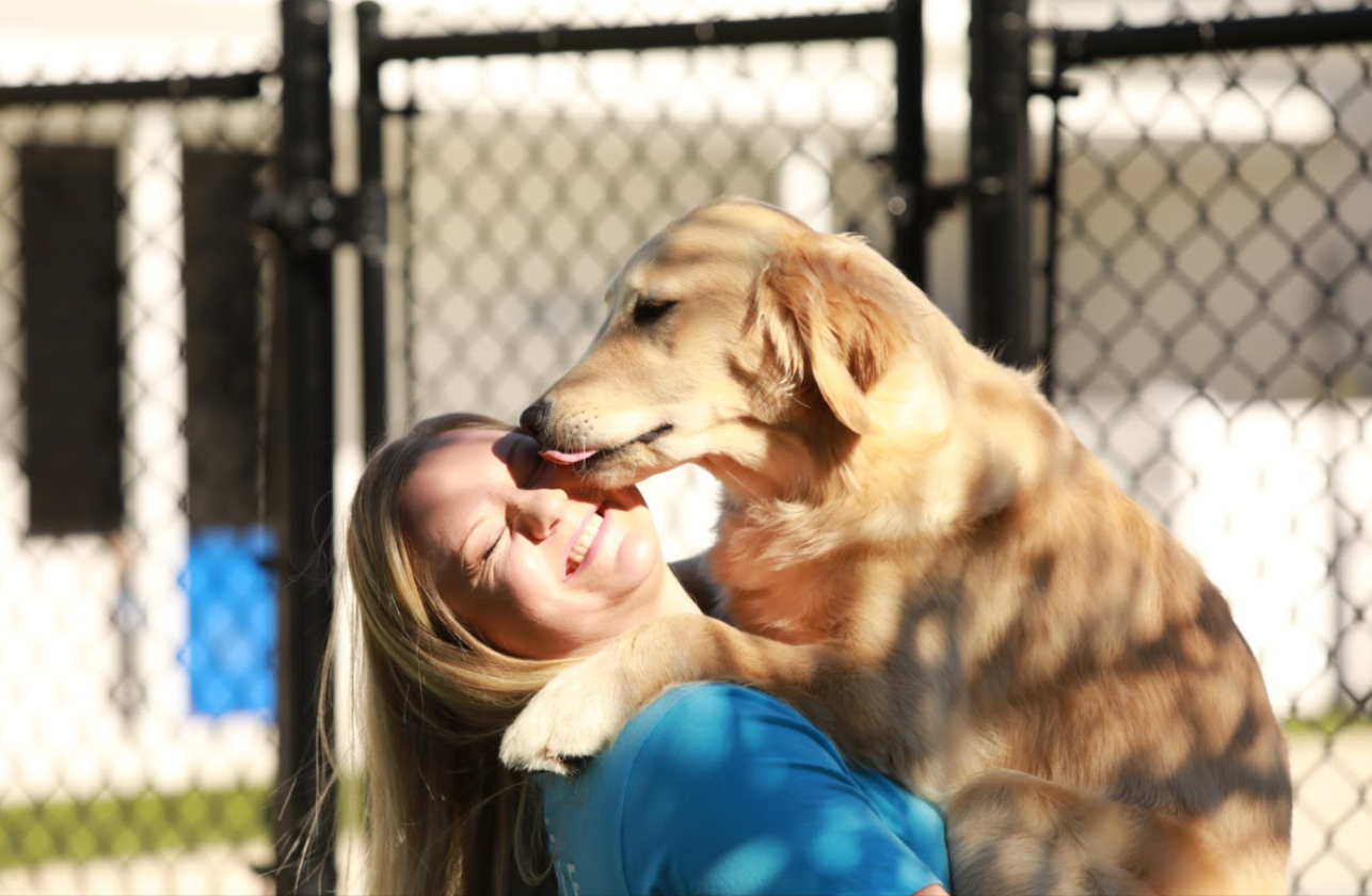 The Psychology Behind Pets and Their Favorite Humans