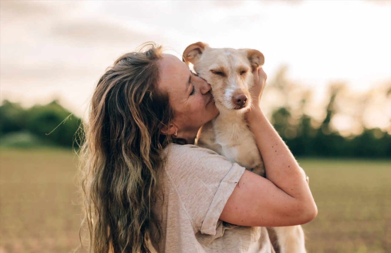 The Emotional Impact of Changing Owners on a Pet